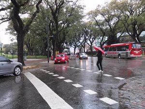 Favaloro_Champagnat2