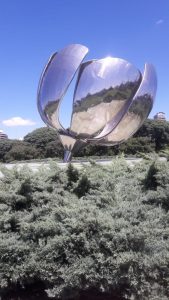 Flor_Recoleta