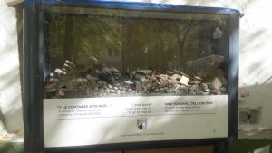 Embajada_Israel_atentado