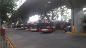playa_colectivo_60