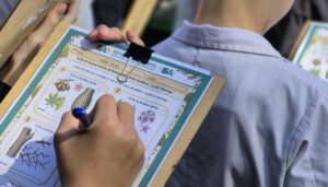 NUEVAS FORMAS DE APRENDER EN LA CIUDAD